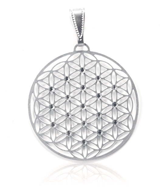 Anhänger Blume des Lebens 30 mm Edelstahl versilbert filigran flach